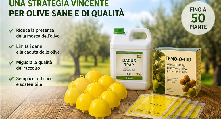 kit difesa mosca dell'olivo
