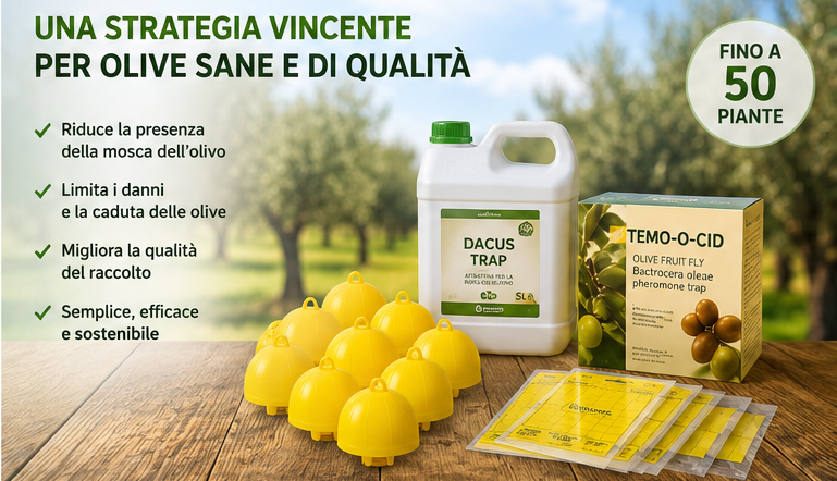 kit difesa mosca dell'olivo