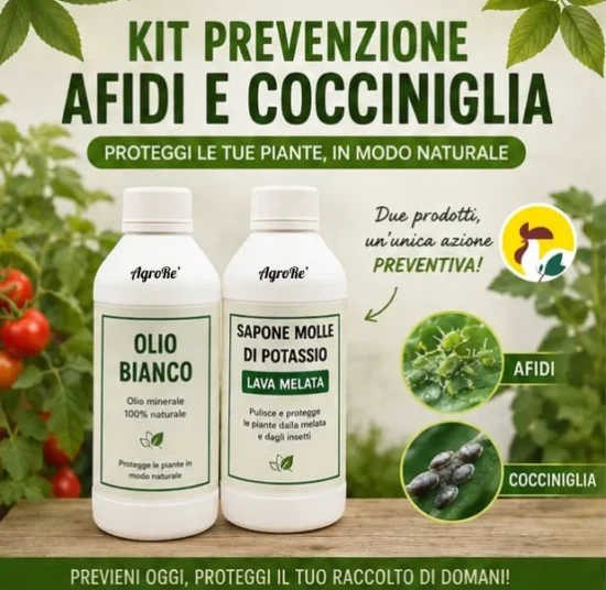 Kit prevenzione afidi e cocciniglia
