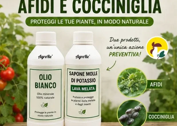 kit prevenzione afidi e cocciniglia