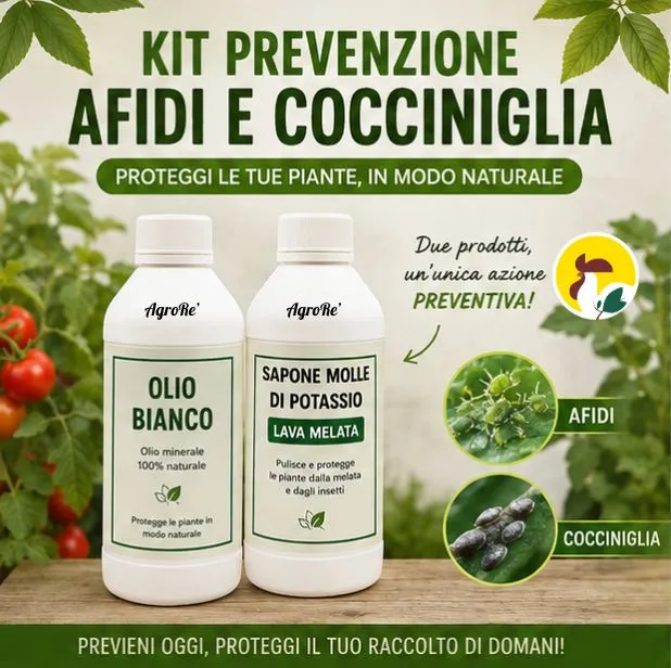 Kit prevenzione afidi e cocciniglia