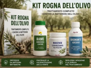 Kit Rogna dell'olivo