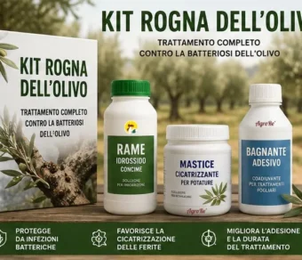 Kit Rogna dell'olivo