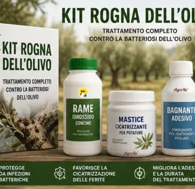 Kit Rogna dell'olivo