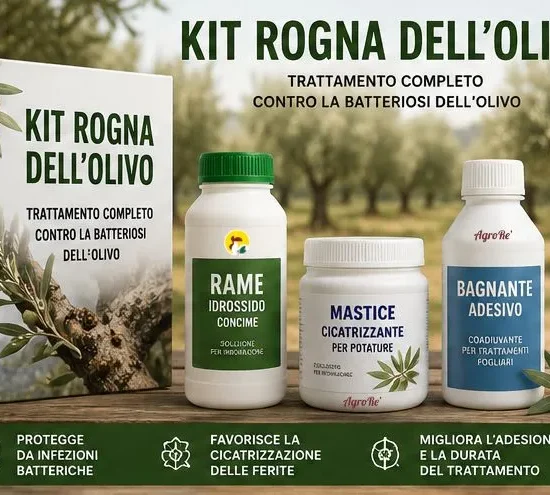 Kit Rogna dell'olivo