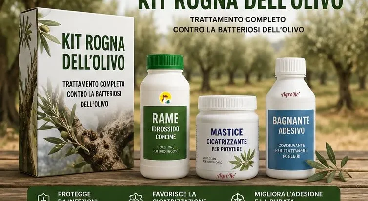 kit rogna dell'olivo