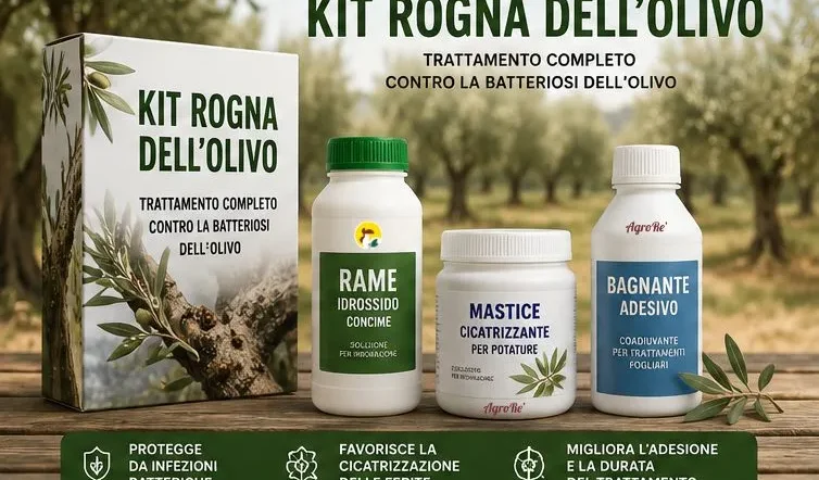 kit rogna dell'olivo