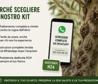 Kit Rogna dell'olivo
