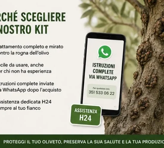 Kit Rogna dell'olivo