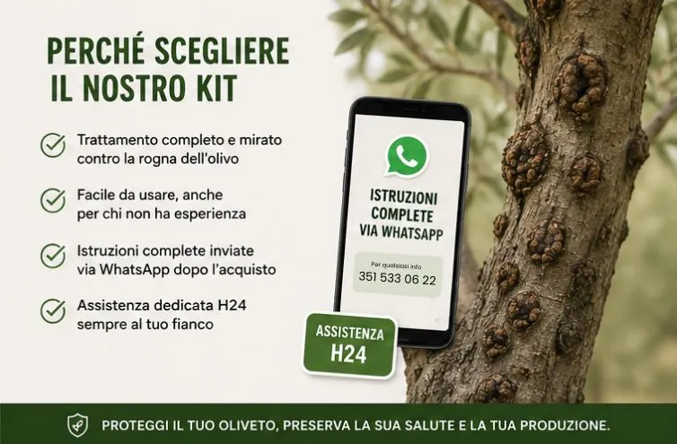 kit rogna dell