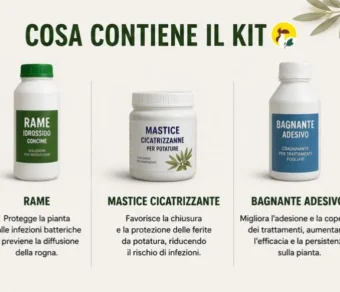 Kit Rogna dell'olivo