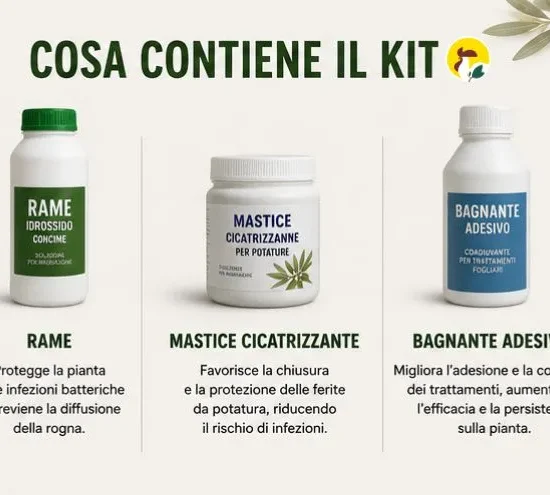 Kit Rogna dell'olivo