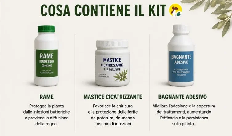 kit rogna dell'olivo cosa contiene il kit