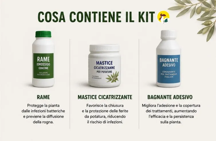 kit rogna dell