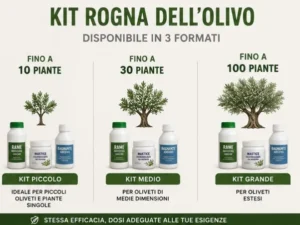 kit rogna dell'olivo piccolo medio grande