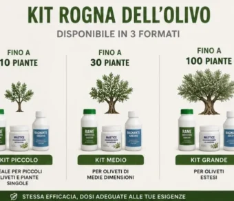 Kit Rogna dell'olivo