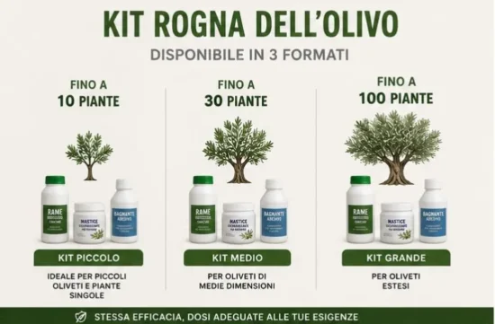 kit rogna dell'olivo piccolo medio grande