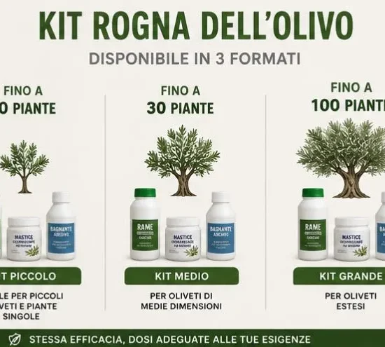 Kit Rogna dell'olivo