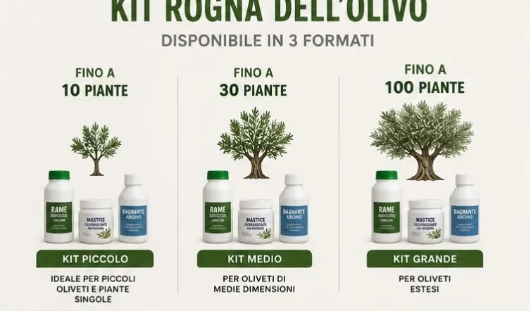 kit rogna dell'olivo piccolo medio grande