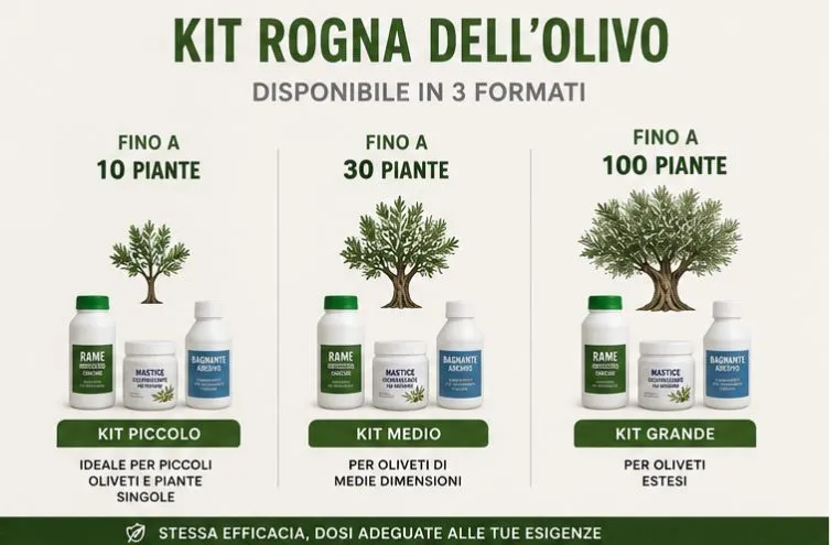 kit rogna dell