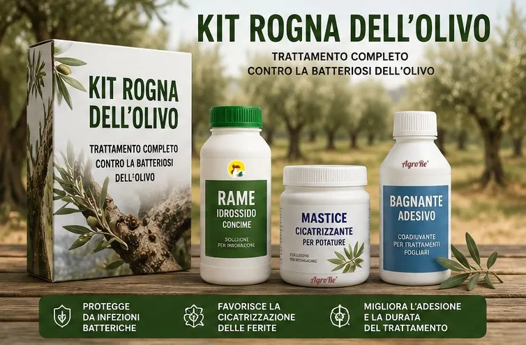 kit rogna dell