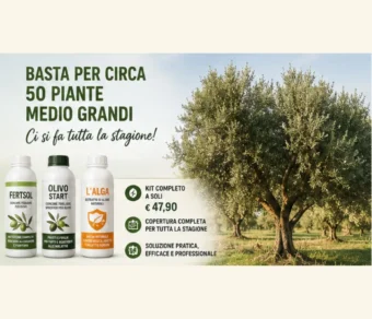Trattamento Olivo Completo