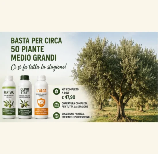 Trattamento Olivo Completo
