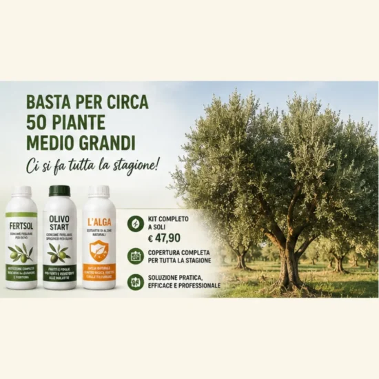 Kit trattamento olivo completo per circa 50 piante medio grandi con protezione per tutta la stagione.