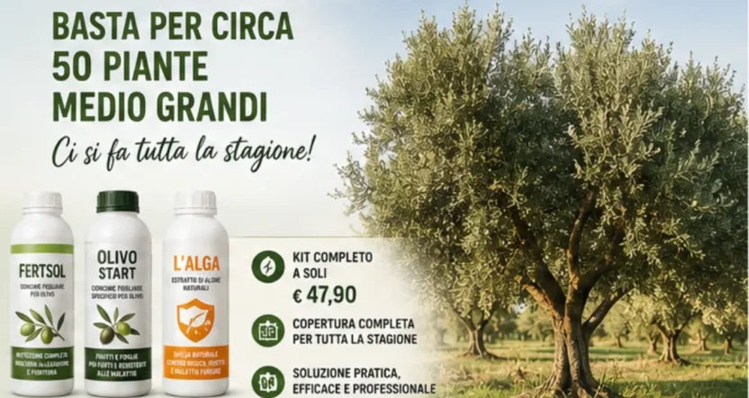 Kit trattamento olivo completo per circa 50 piante medio grandi con protezione per tutta la stagione.