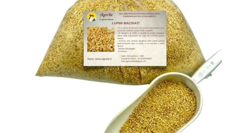 Lupini Macinati per Agrumi – Concime Naturale e Biologico