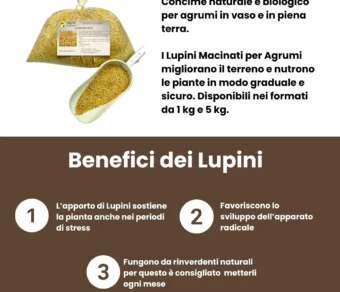Lupini Macinati per Agrumi – Concime Naturale e Biologico