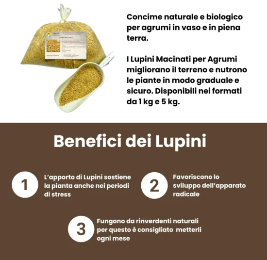 Lupini Macinati per Agrumi – Concime Naturale e Biologico