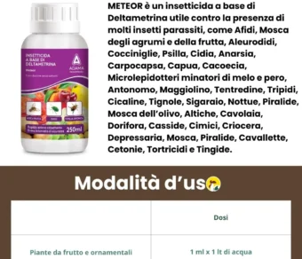 Meteor Insetticida Sistemico | Afidi, Cocciniglia e Mosca dell'Olivo