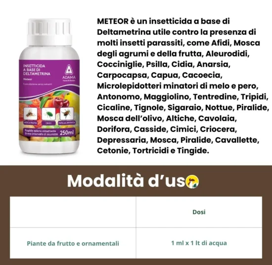 Meteor Insetticida Sistemico | Afidi, Cocciniglia e Mosca dell'Olivo