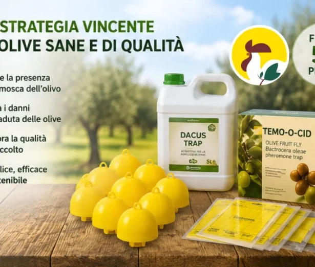 miglior trattamento mosca dell'olivo