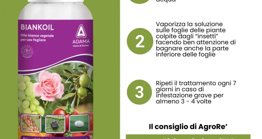 olio bianco per piante utilizzo