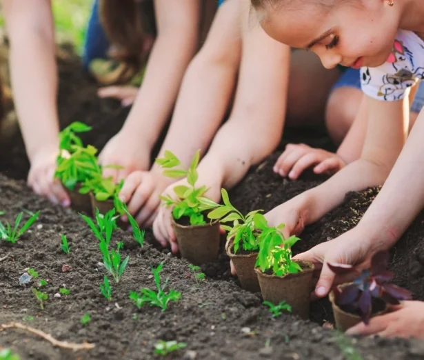 immagine di bambini che sperimentano l'ortoterapia