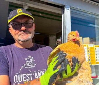 Pollo Kabir da Allevamento Selezionato su Prenotazione