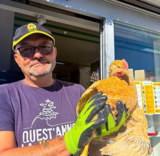 Pollo Kabir da Allevamento Selezionato su Prenotazione