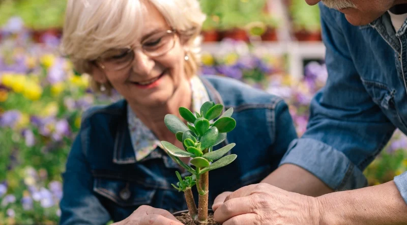 signora che sceglie una pianta per il proprio giardino