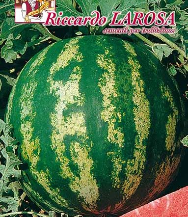 Semi di Anguria Crimson Sweet