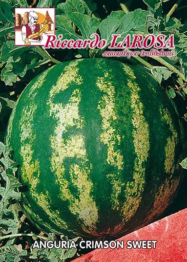Semi di Anguria Crimson Sweet
