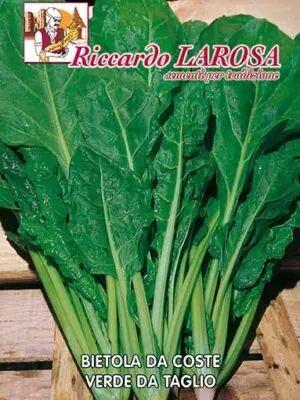 Semi di Bieta da taglio