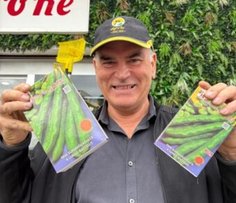 Semi di Fave da Piantare