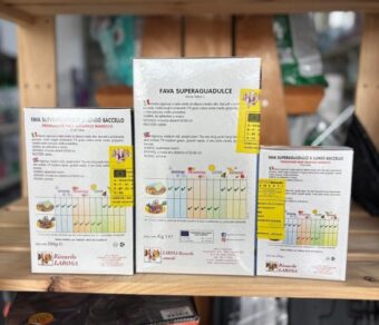 Semi di Fave da Piantare