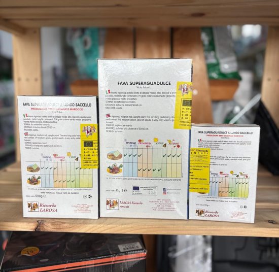 Semi di Fave da Piantare