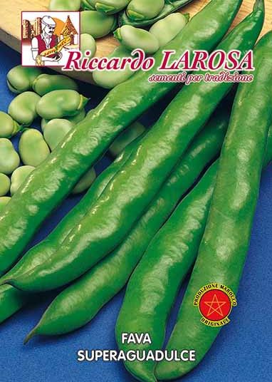 Semi di Fave da Piantare