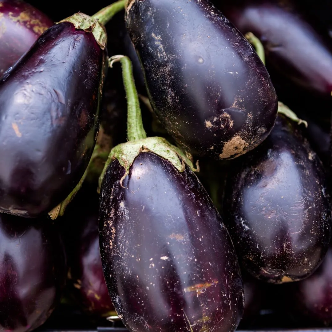 Semi di Melanzana bellezza nera