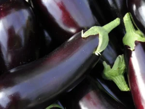 Semi di melanzana lunga