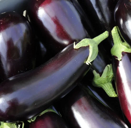 Semi di melanzana lunga